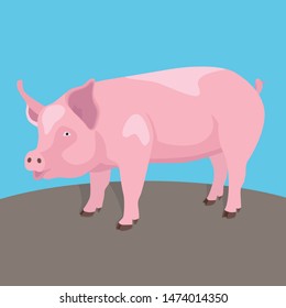 Funny pig standing in mud. Farm animals series. Flat vector illustration, eps 10