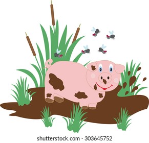 Funny pig in the swamp and flies