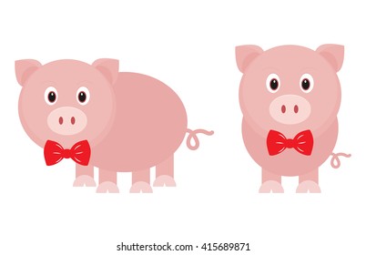 funny pig with tie set
