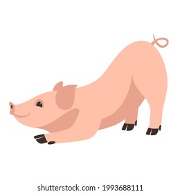 funny pig, vector illustration, flat style, side view