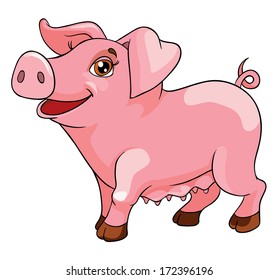 funny pig, vector illustration on white background