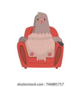 Funny pigeon in red armchair with tv remote control