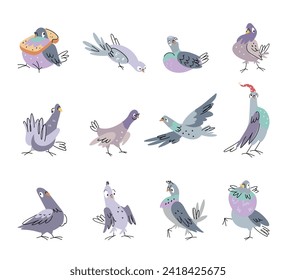 Funny pigeon set. Emotional dove in various poses. Isolated cartoon pigeons flying, eating, go to bed. Cute wild birds nowaday vector characters