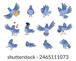 Funny pigeon set. Isolated pigeons, birds in different poses with emotions. Cartoon urban bird eating, sleeping, flying, classy vector characters