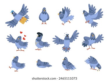 Funny pigeon set. Isolated pigeons, birds in different poses with emotions. Cartoon urban bird eating, sleeping, flying, classy vector characters