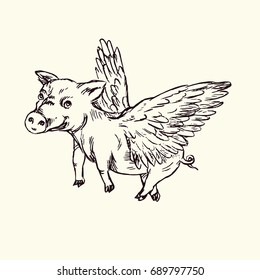 Funny piggy with lovely angel wings flying, hand drawn doodle, sketch in pop art style, black and white vector illustration