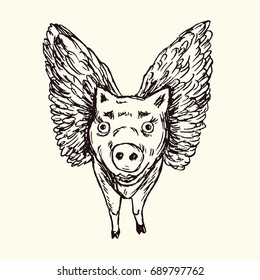 Funny piggy with lovely angel wings, front, hand drawn doodle, sketch in pop art style, black and white vector illustration