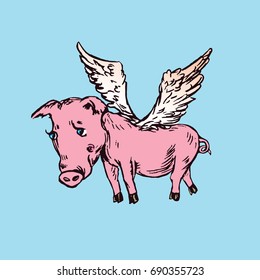 Funny piggy with lovely angel wings, hand drawn doodle, sketch in pop art style, color vector illustration