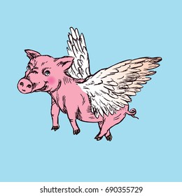 Funny piggy with lovely angel wings, hand drawn doodle, sketch in pop art style, color vector illustration