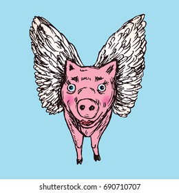 Funny piggy with lovely angel wings, front, hand drawn doodle, sketch in pop art style, color vector illustration