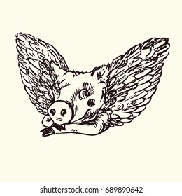 Funny piggy portrait with lovely angel wings, hand drawn doodle, sketch in pop art style, black and white vector illustration