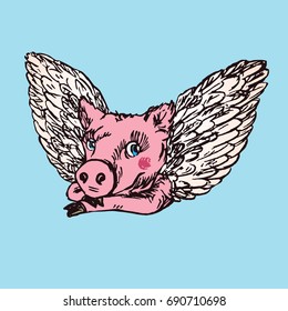 Funny piggy portrait with lovely angel wings, hand drawn doodle, sketch in pop art style, color vector illustration