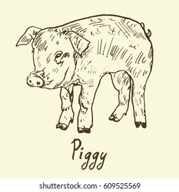 Funny piggy, sketch in pop art style, black and white vector illustration