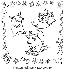 Funny pigs in cartoon style. Sports in the fresh air. New year doodles in black and white on a white background. Vector graphics.
