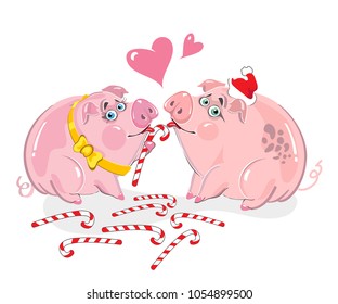 Funny pigs, loving pigs