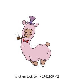 Funny pink llama with a pipe and a hat .Humorous greeting card, banner, hand-drawn printing style. Vector illustration