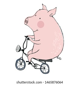 funny pink pig on a bike