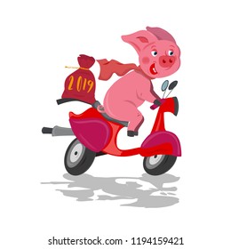 Funny pink pig rider on a red fast bike scooter with christmas bag on white background.
