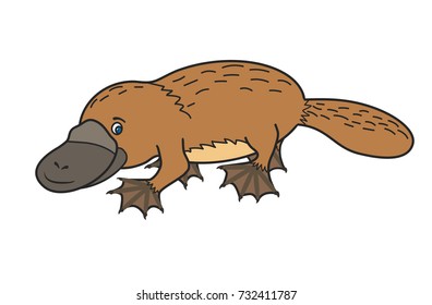 Funny platypus. Australian wild  animal. Happy cartoon.Cute vector illustration for children.Cute Character.Isolated image on a white background.