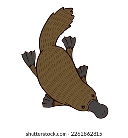 Funny platypus with long beak swimming on white background. Flat color vector illustration of aquatic mammal. Cartoon character for animation