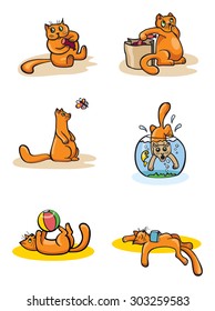 Funny Playful Cat in Different Situations