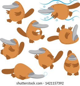 A funny and playful platypus in many poses. 