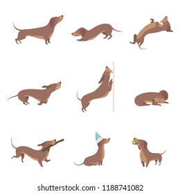 Funny playful purebred brown dachshund dog activities set vector Illustrations on a white background