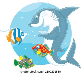 Funny and playful shark playing with colorful tropical fishes in warm waters of an exotic coral reef, vector cartoon illustration isolated on a white background