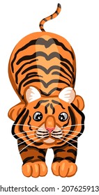 Funny playful tiger. Cute big cat. Eastern calendar symbol. Colorful vector illustration in scandinavian style. Abstract cartoon wild animal clipart isolated on white.