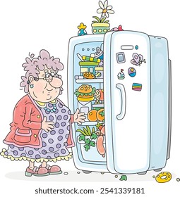 Funny plump elderly housewife peeking into her home kitchen fridge full of tasty things to have a bite to eat, vector cartoon illustration isolated on a white background