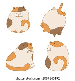 Funny plumpy cats set. Vector illustration of cute hand drawn cats lie and sit front and back view. Kitty mascote isolated on white for card children design