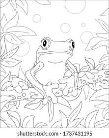 Funny poisonous frog sitting on a tree branch in a wild tropical jungle, black and white outline vector cartoon illustration for a coloring book page