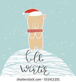 Funny polar bear with hand drawn lettering, quote Hello Winter on snowy background. Cute  illustration for card, poster, t-shirt design, banner or home decor element. Vector typography.