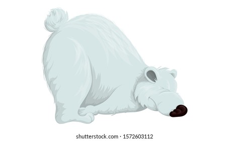Funny polar bear trying to get up after sleeping. Vector illustration in cartoon style on white background