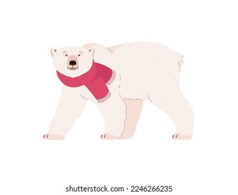 El oso polar gracioso camina con bufanda roja, concepto de vacaciones de invierno - ilustración vectorial plana aislada en fondo blanco. Personajes animales de dibujos animados para niños y diseños de guarderías.