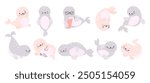 Funny polar seal. Baby arctic animal eat read play. Children mascots, underwater mammals funny characters. Sea ocean animals nowaday vector clipart