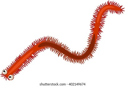 Funny Polychaete