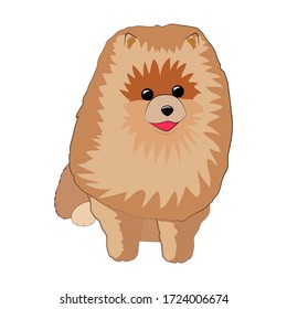 Funny pomeranian spitz sits and smiles. Cute cartoon fluffy dog. Funny animals. Pets. Illustration isolated on white background.