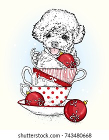 A funny poodle with vintage cups and Christmas balls. New Year's and Christmas. Vector illustration for a holiday greeting card or poster. Pedigree dog. Puppy.