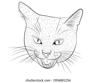 Divertido retrato de un gato maullido con boca abierta y ojos grandes aislados en un fondo blanco. Ilustración vectorial.