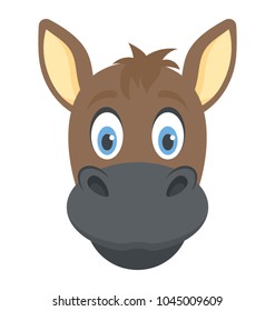  A funny pose of domestic animal donkey