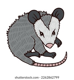 Funny possum lying on white background. Cute cartoon character for animations and funny caricature. Flat color vector illustration