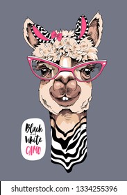 Funny poster. Cute Llama in a striped zebra mask, and in a pink glasses. Black and White camo - lettering quote. Humor card, t-shirt composition, hand drawn style print. Vector illustration.