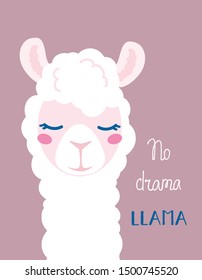 
Funny poster llama alpaca with the inscription "no drama llama". Vector illustration of a furry beast - a unique design for cards, posters, t-shirts, invitations. White llama on a purple background.