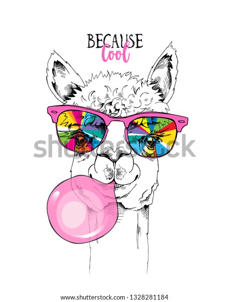 Funny\
poster. Llama in a rainbow glasses and with a pink bubble gum.\
Because cool - lettering quote. Humor card, t-shirt composition,\
hand drawn style print. Vector\
illustration.