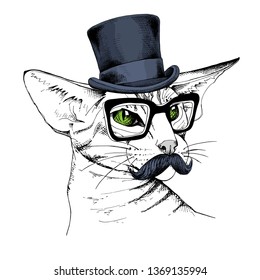 Funny poster. Oriental Shorthair cat with a mustaches in a gentleman top hat and in a glasses. Humor card, t-shirt composition, hand drawn style print. Vector illustration.