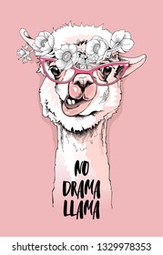 Funny poster. Portrait of Alpaca in a pink glasses and with a anemone flowers. No drama llama - lettering quote. Humor card, t-shirt composition, hand drawn style print. Vector illustration.