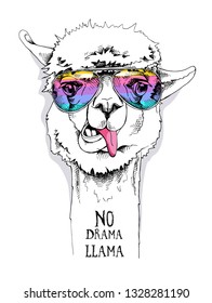 Funny poster. Portrait of a Alpaca in a rainbow glasses. No drama, llama - lettering quote. Humor card, t-shirt composition, hand drawn style print. Vector illustration.