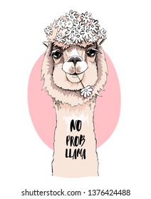 Funny poster. Portrait of Llama with a chamomile flowers. No probllama - lettering quote. Humor card, t-shirt composition, hand drawn style print. Vector illustration.