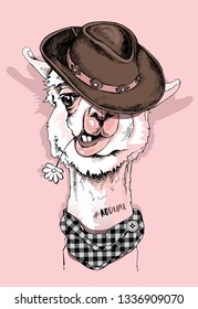 Afiche gracioso. Retrato de Llama en un Sombrero de vaquero, pañuelo a cuadros y con una flor chamomile. No hay drama - cita con letras. Tarjeta de humor, composición en pantalones, impresión a mano. Ilustración vectorial.